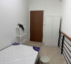 Tanah Merah Green (D16), Terrace #564855651